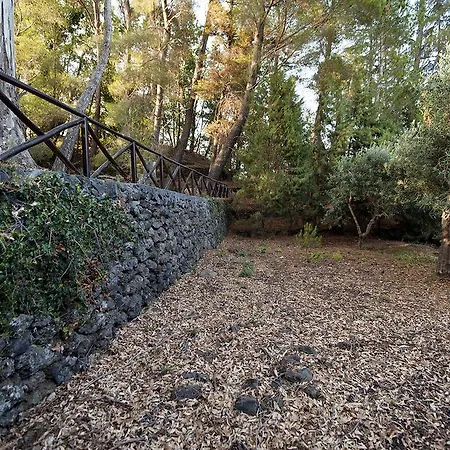 Casa Vacanze Etna Piedimonte Etneo
