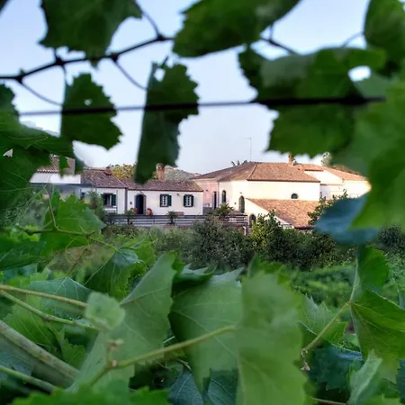 Holiday home Casa Vacanze Etna