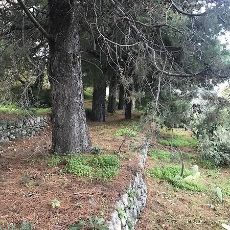 Holiday home Casa Vacanze Etna *